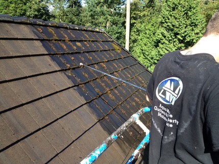 Roof Moss