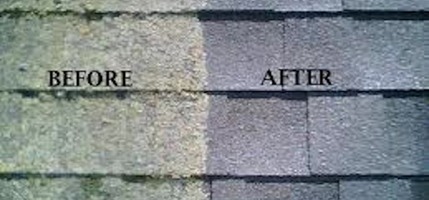Moss Before After