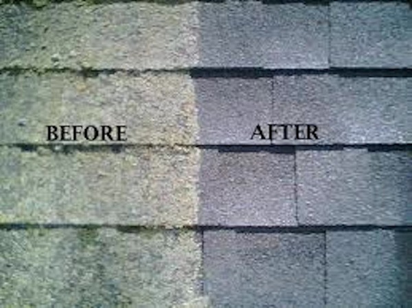Moss Before After