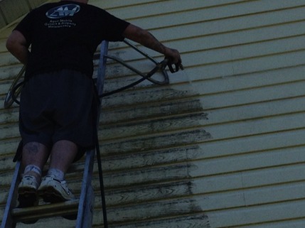 Siding Cleaning