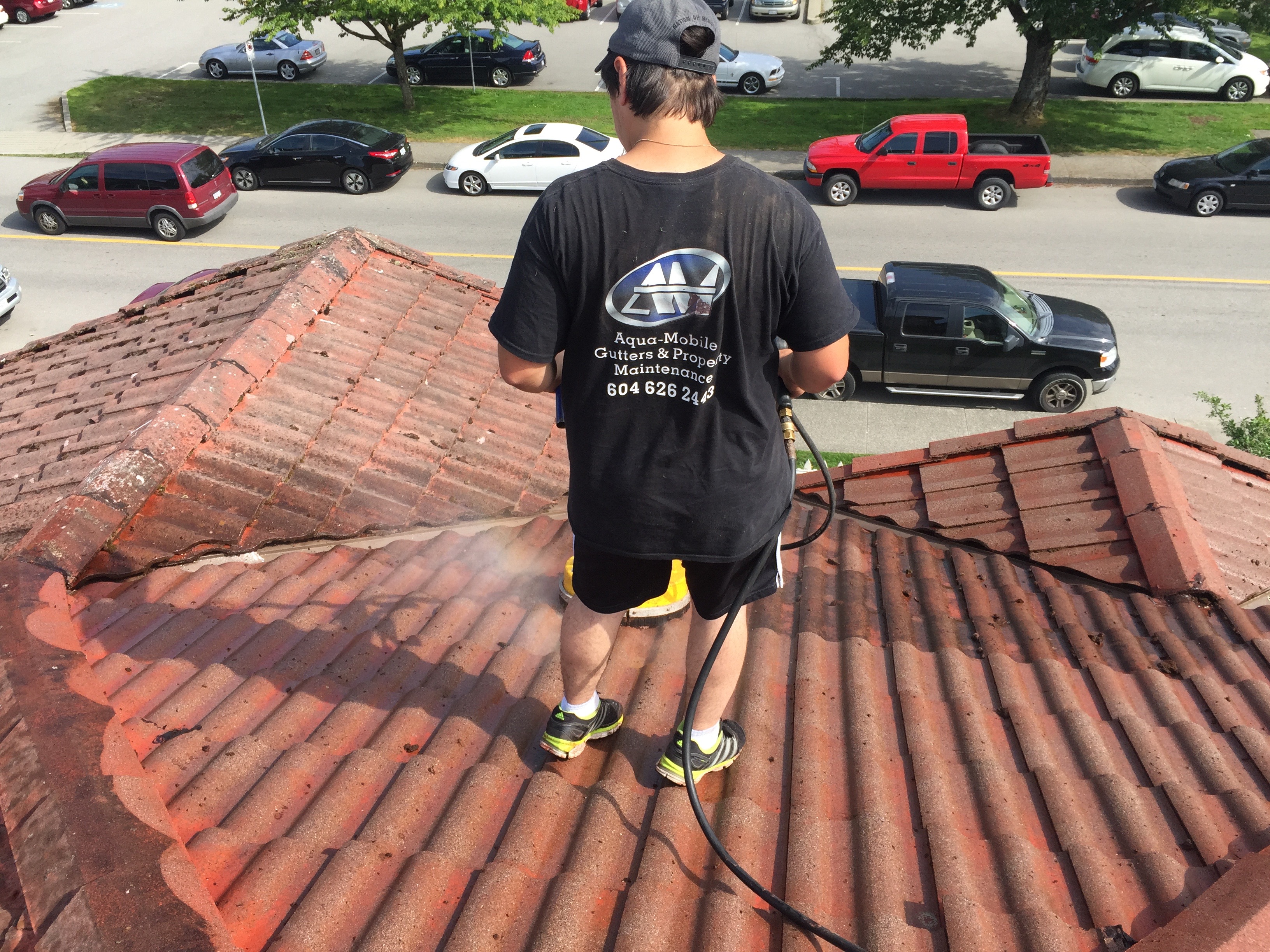 roof moss cleaning
